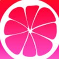鲁大师TV在线影院免费观看