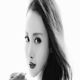 紫龙插花芯方正的艺术之美与应用探索